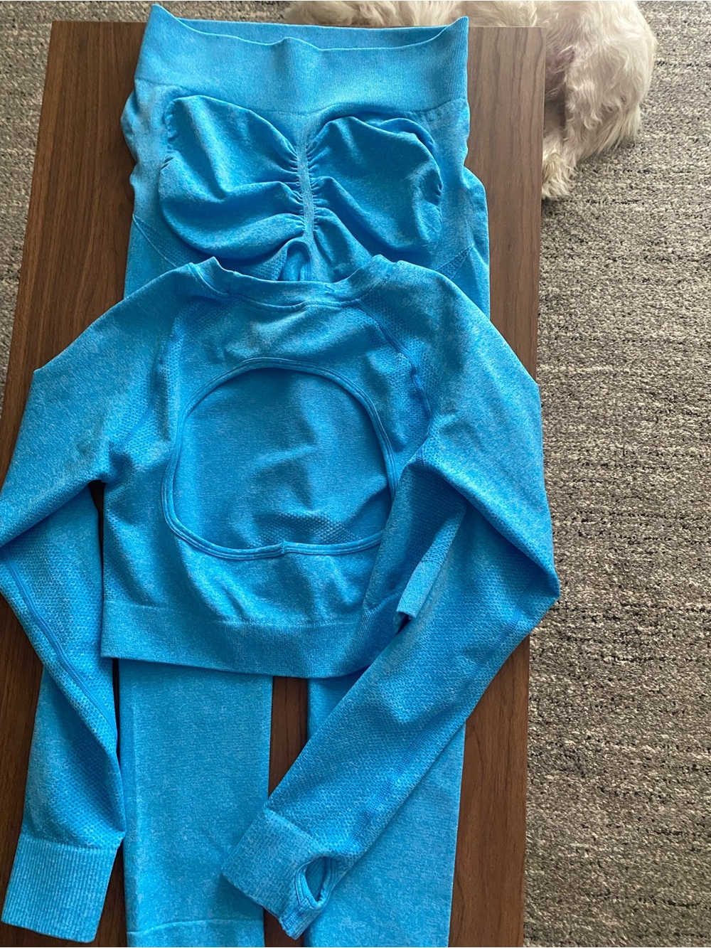 Women’s Seamless Open-Back Workout Gear in Bright Blue Large 2-piece set